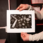 Introduction to black & white darkroom bundle